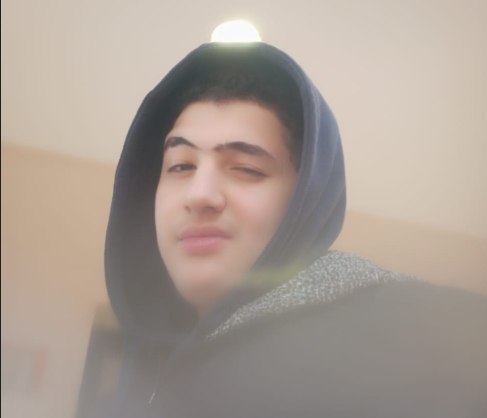Game-Developer image